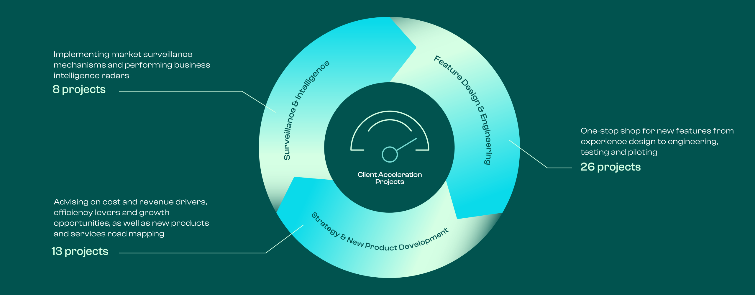An infographic with a circular diagram showing various business project categories and their counts